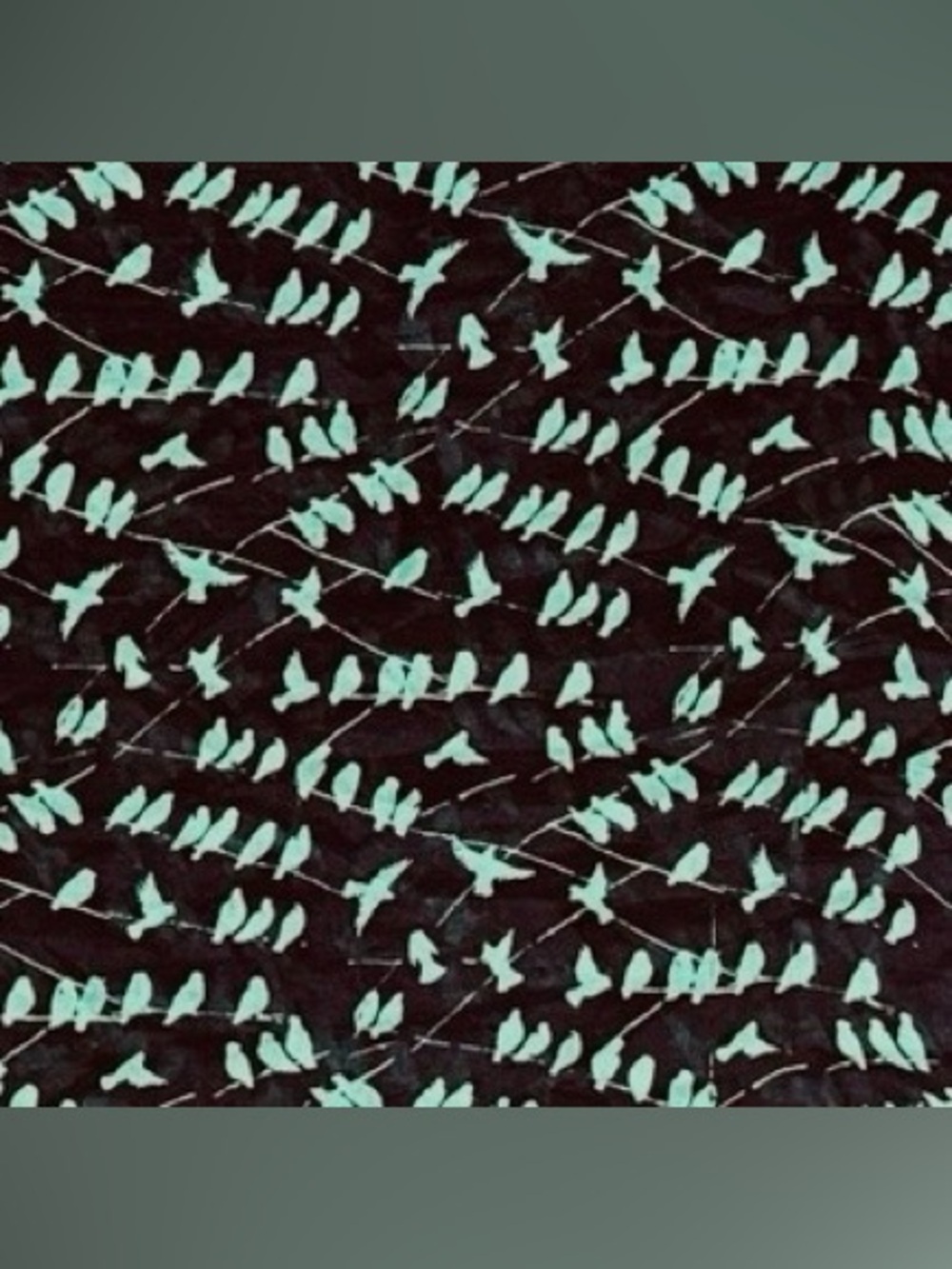 Black w Green Crows/Birds Wrap 36x72” Halloween, Campus Colors, Bird Enthusiasts